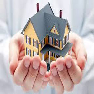 Real Estate Services